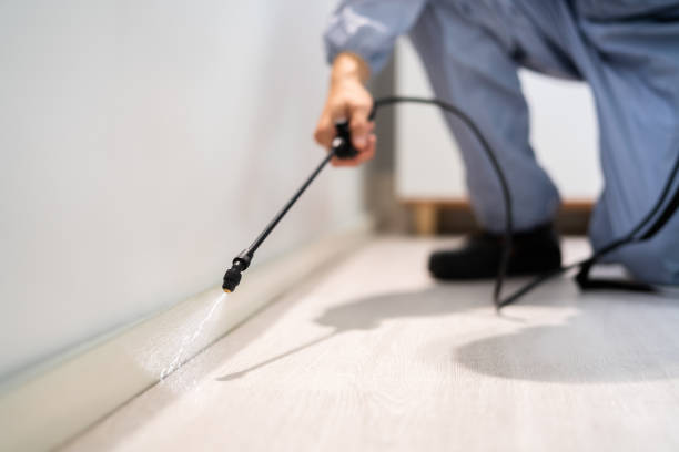Licensed Termite Control service in Senatobia, MS - Nex Pest Control