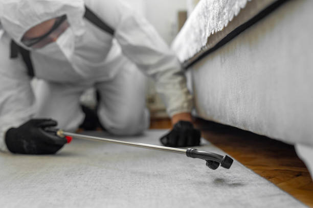 Professional Termite Control technician working in Senatobia, MS