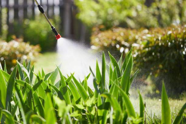 24/7 Emergency Termite Control experts in Senatobia, MS
