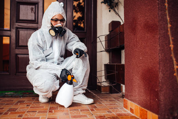 Reliable Termite Control contractor in Senatobia, MS by Nex Pest Control